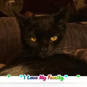 Meet your Posher, Barbara